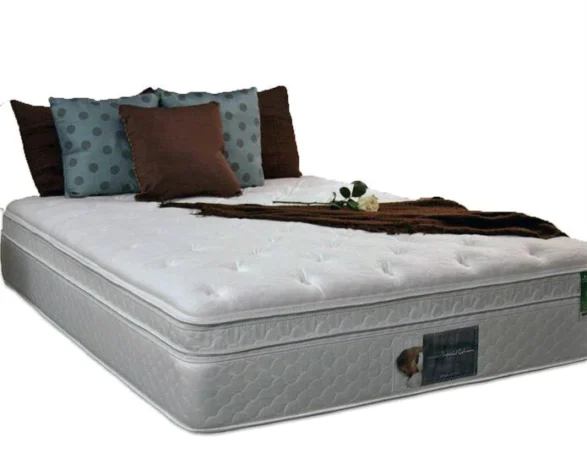 Customizable Euro Top Softside Waterbed Deep Fill Mattress.