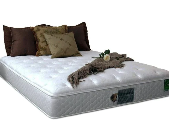 Plush Top Softside Waterbed